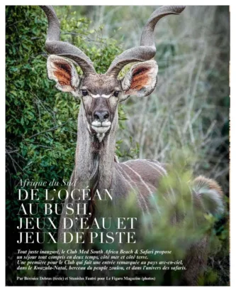 2026 09 10 LE FIGARO MAGAZINE HEBDO Du 11 au 12 septembre 2026 10000000072366469 Page 1