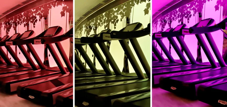 Pure Club Med Gym 03